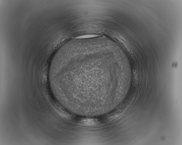 X0000096680499200802261519