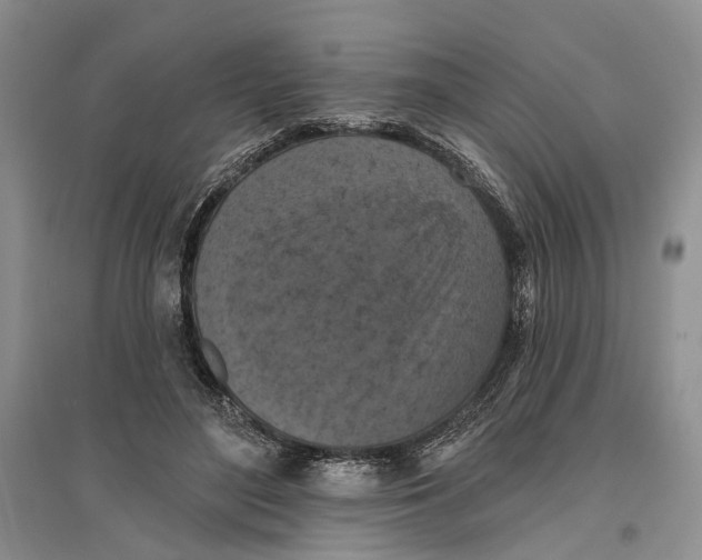 X0000096680500200802261519