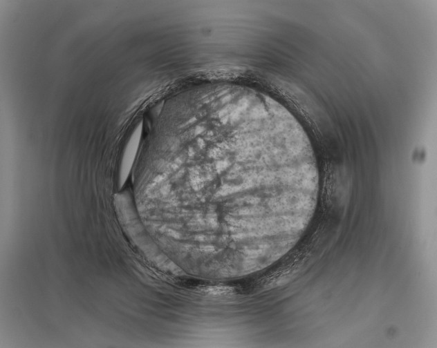 X0000096680501200802261519