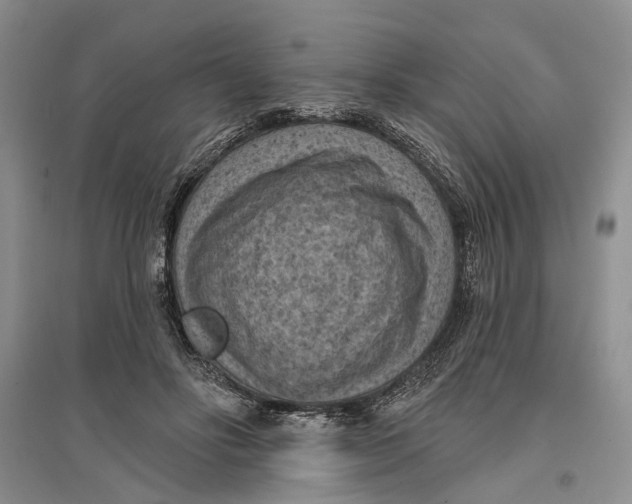 X0000096680502200802261519