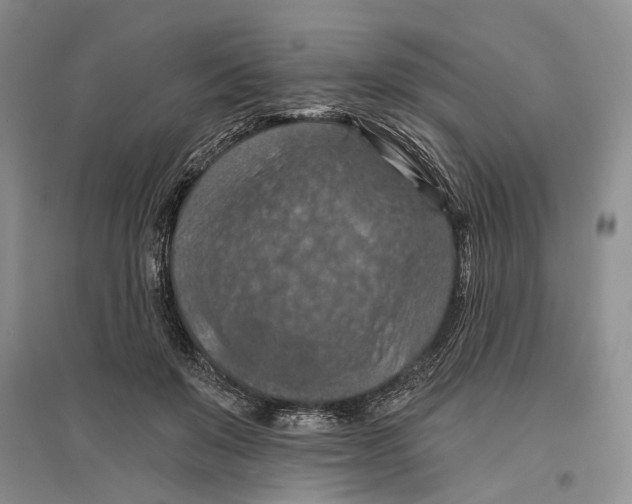 X0000096680503200802261519