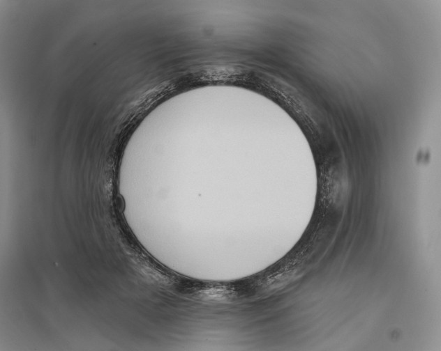 X0000096680505200802261519