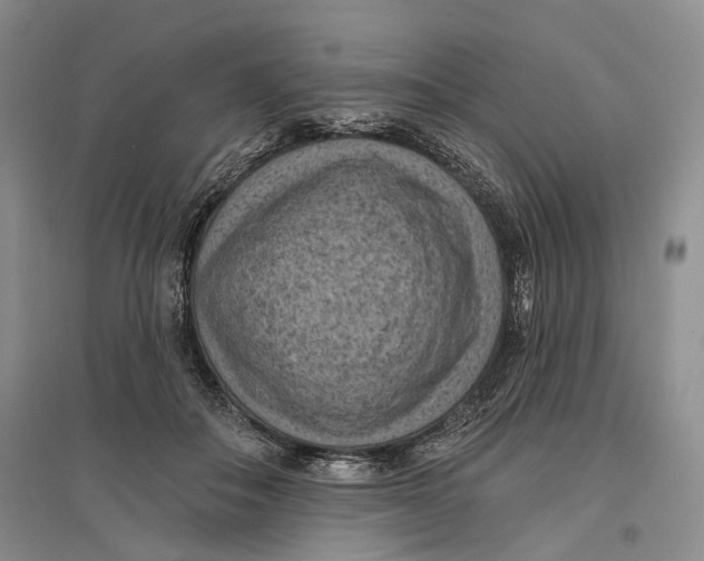 X0000096680506200802261519