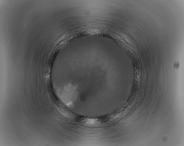 X0000096680507200802261519