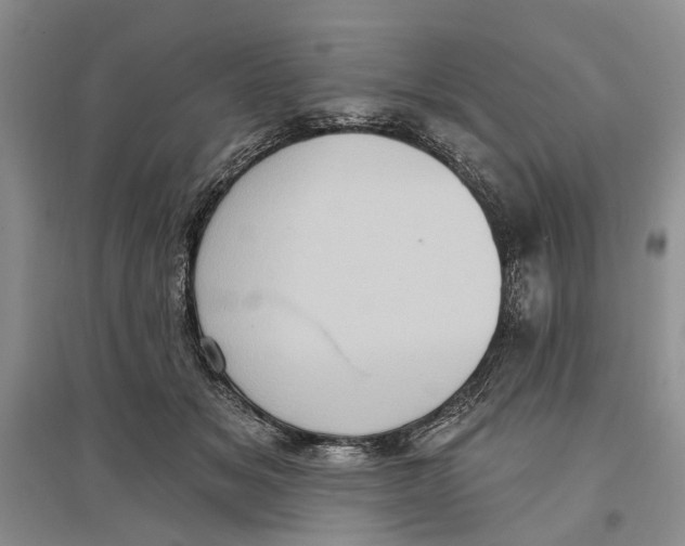 X0000096680509200802261519