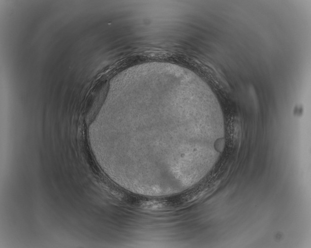 X0000096680511200802261519