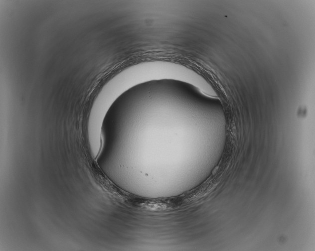 X0000096680512200802261519