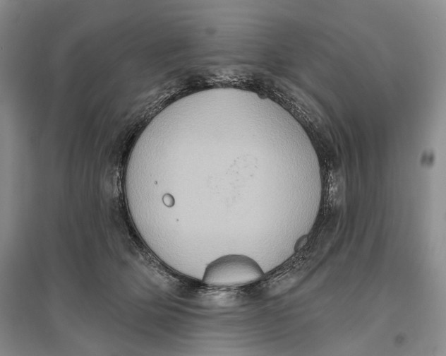 X0000096680514200802261519