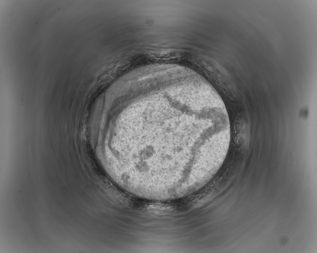 X0000096680515200802261519