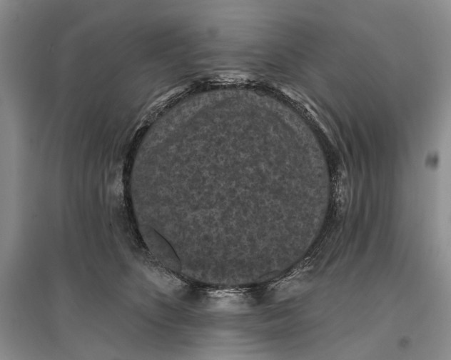 X0000096680516200802261519