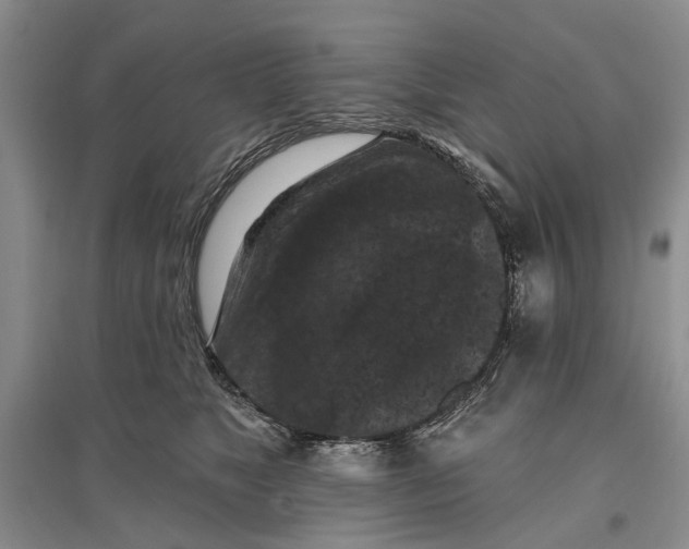 X0000096680517200802261519