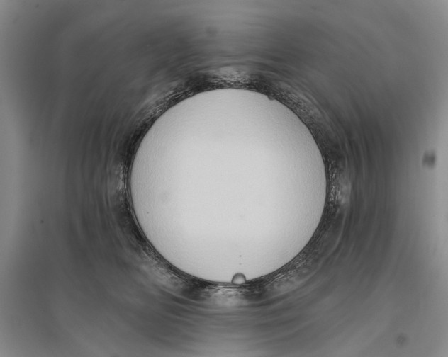 X0000096680518200802261519