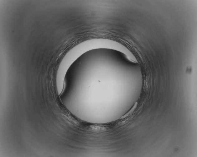 X0000096680520200802261519