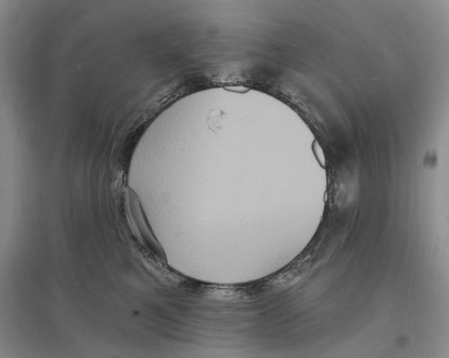 X0000096680521200802261519