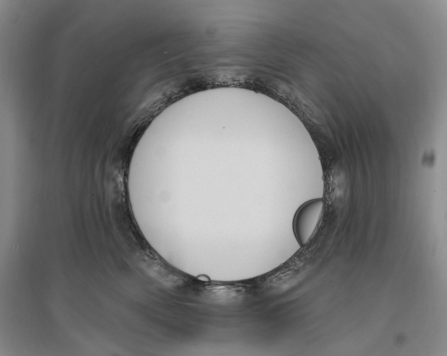 X0000096680522200802261519