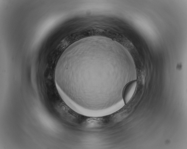 X0000096680526200802261519