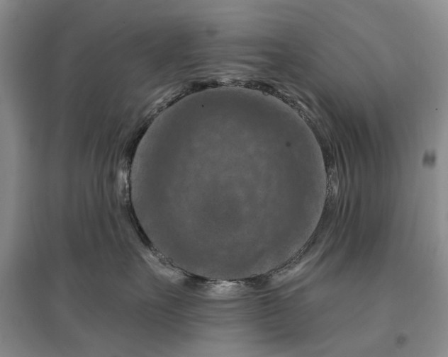 X0000096680527200802261519