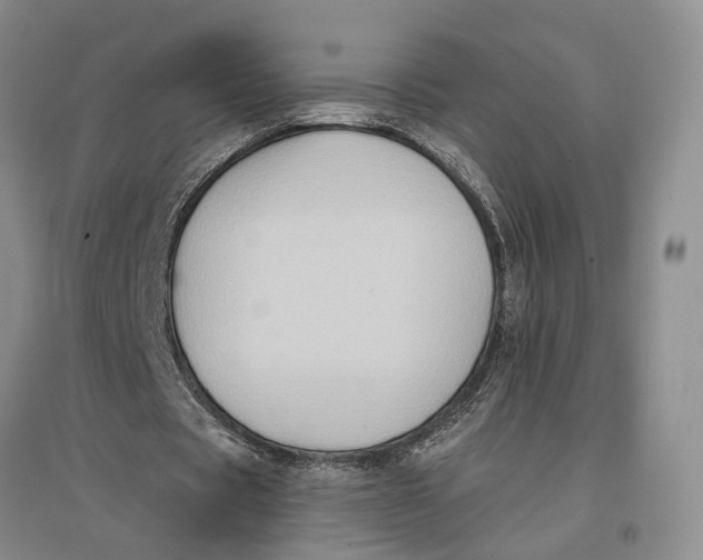 X0000096680529200802261518