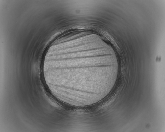 X0000096680530200802261518