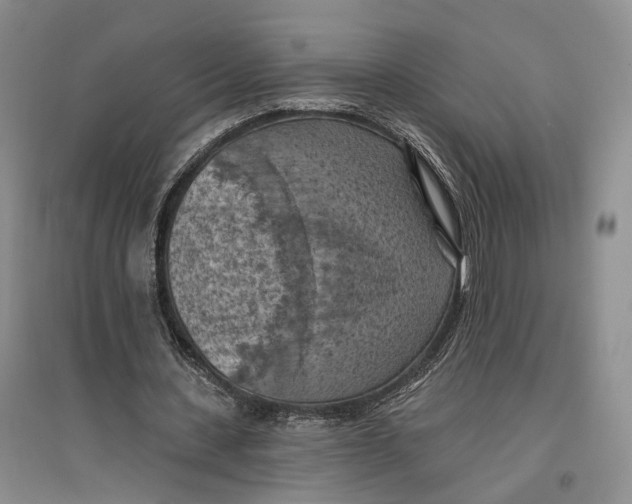 X0000096680531200802261518