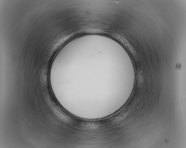 X0000096680533200802261518