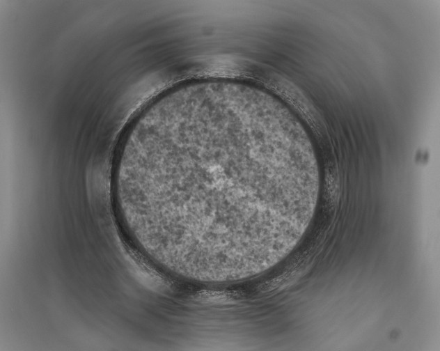 X0000096680534200802261518