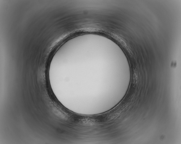 X0000096680535200802261518