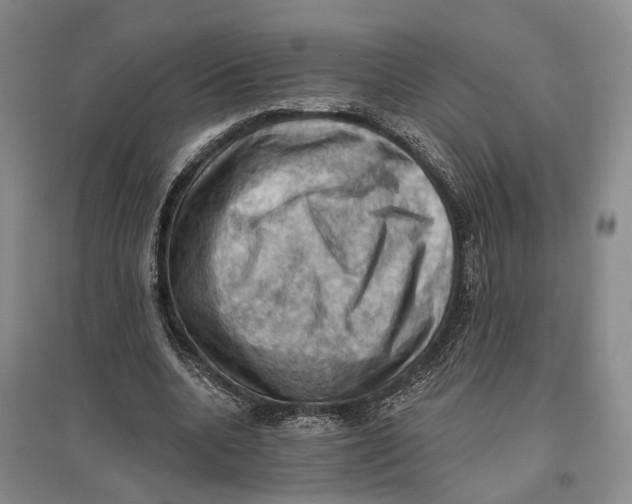 X0000096680536200802261518