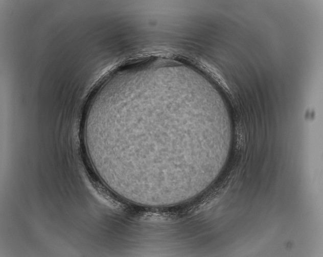 X0000096680538200802261518