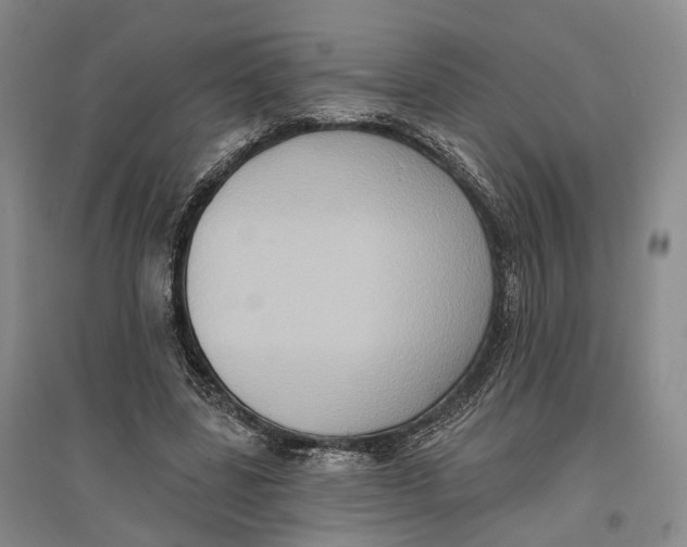 X0000096680539200802261518