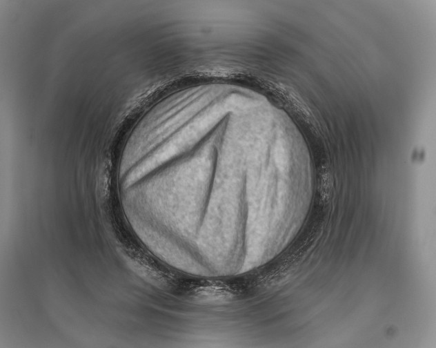 X0000096680544200802261518