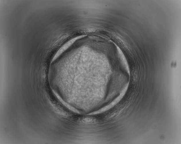 X0000096680546200802261519