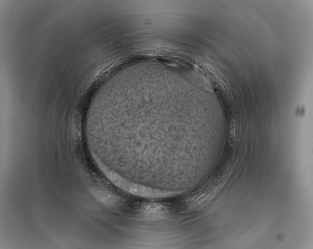 X0000096680547200802261519