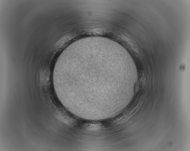 X0000096680548200802261519