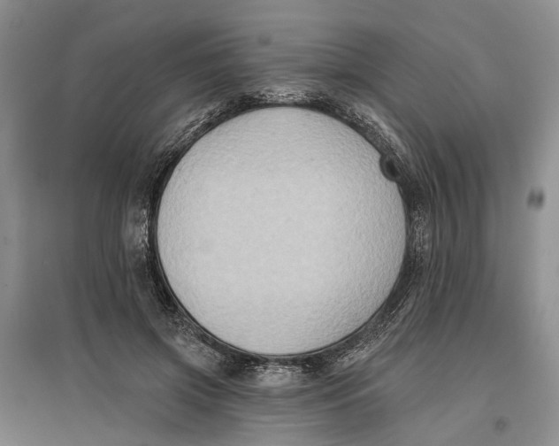 X0000096680549200802261519