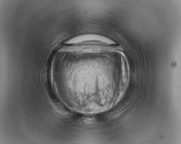 X0000096680552200802261519