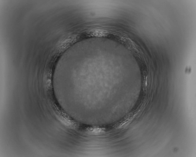 X0000096680553200802261519