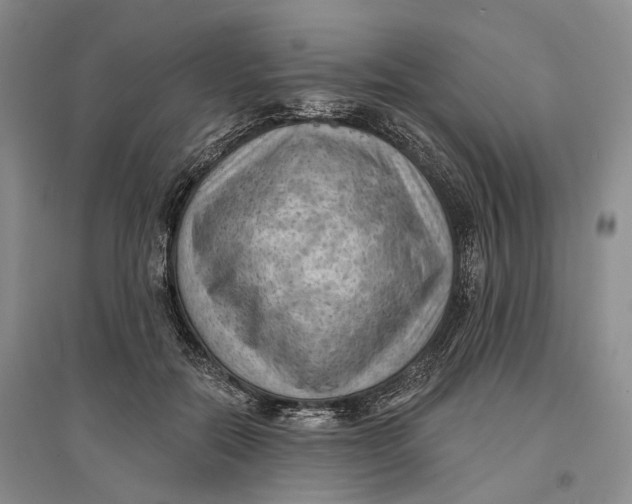 X0000096680554200802261519