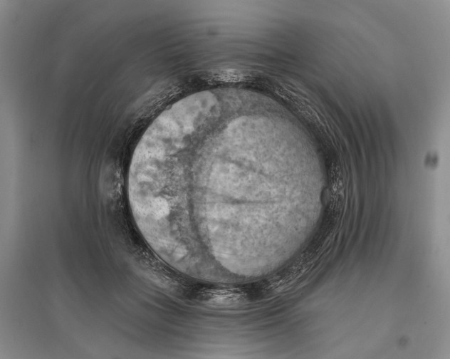 X0000096680555200802261519