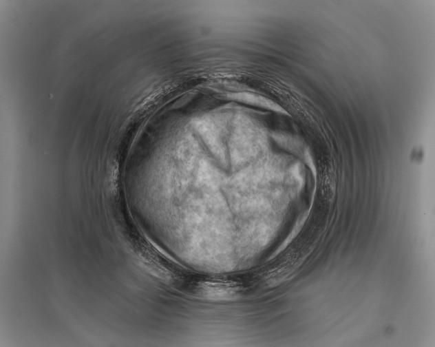 X0000096680556200802261519