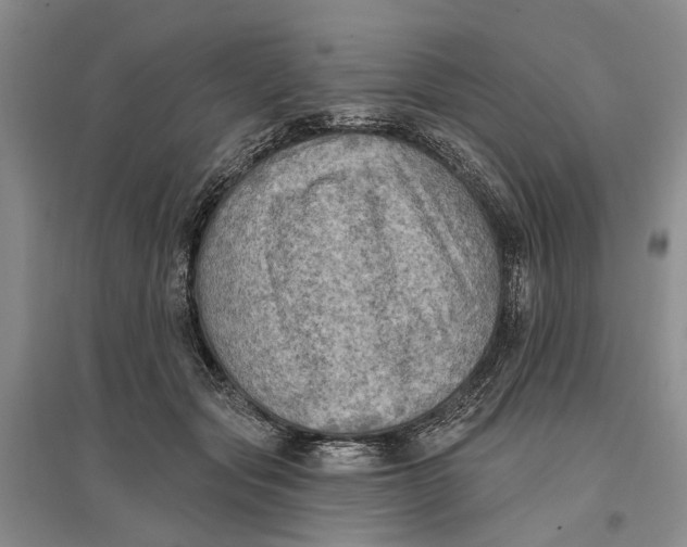 X0000096680557200802261519