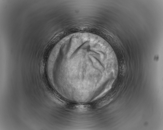 X0000096680558200802261519