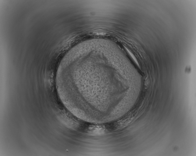 X0000096680559200802261519