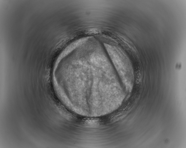 X0000096680560200802261519