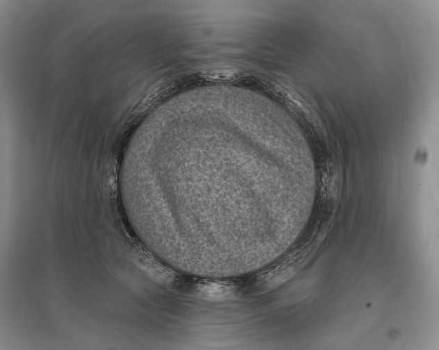 X0000096680561200802261519