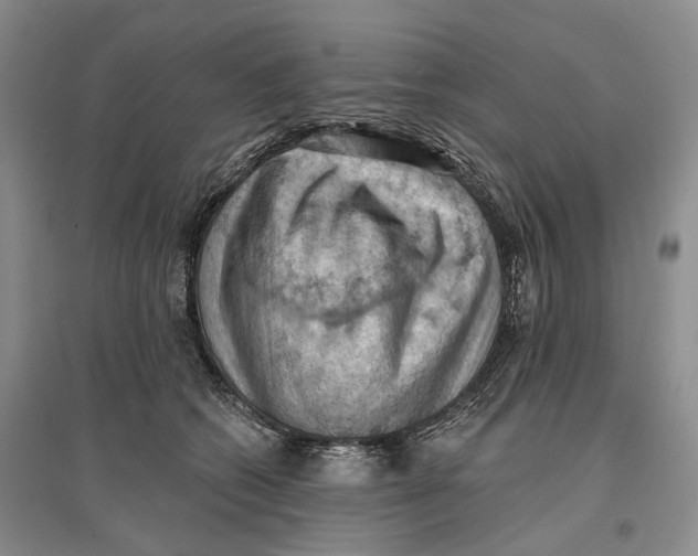 X0000096680562200802261519