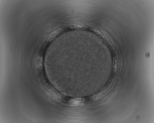 X0000096680563200802261519