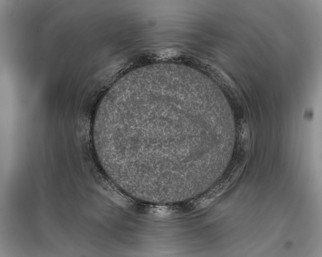 X0000096680565200802261519