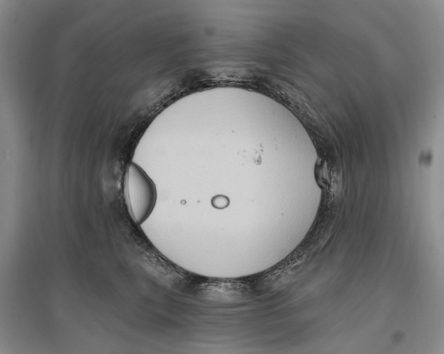 X0000096680567200802261519