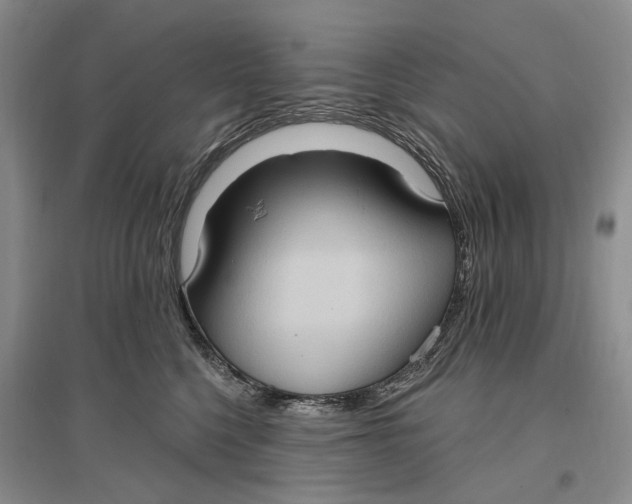 X0000096680568200802261519